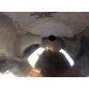Zildjian A Custom Master Sound Hi Hat 13