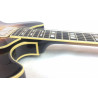 Ibanez AS 153 AYS Antique Yellow Sunburst