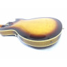 Ibanez AS 153 AYS Antique Yellow Sunburst