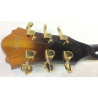 Ibanez AS 153 AYS Antique Yellow Sunburst