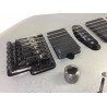 Ibanez Prestige RG 2570 EX Vital Silver + EMG