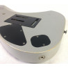 Ibanez Prestige RG 2570 EX Vital Silver + EMG