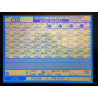 Tamscam DM3200 + IF FW MKII