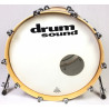 Drum Sound Equalized Maple 5 pezzi (22-10-12-14-16)