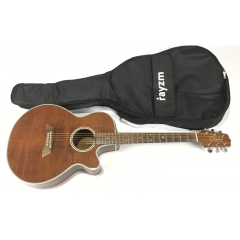 Takamine EF261S-AN