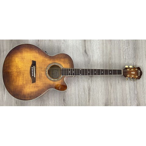 Ibanez AEL20-VV1202