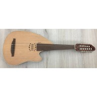 Godin Multiac Multioud Encore Nylon