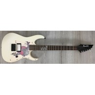 Ibanez GRGR010LTD