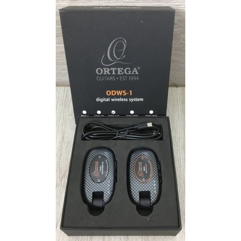 Ortega ODWS-1 radio jack