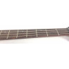 Cort Artisan C4Z