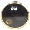 Pearl Export EXR 4 pezzi