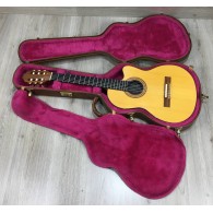 Gibson Chet Atkins CEC seriale 92211380