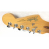 Fender Stratocaster American Standard 1991 Serial N1026324