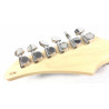 Yamaha RGX421DM con custodia rigida
