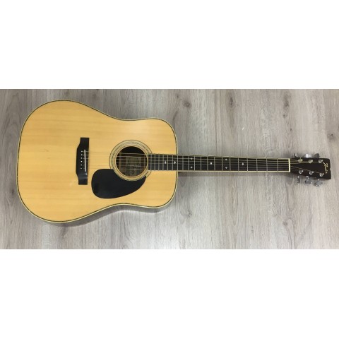 Fender F65 con custodia rigida