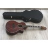 Takamine Limited Edition 1991 