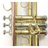 Tromba Roy Benson TR-101 Compreso Custodia