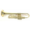 Tromba Roy Benson TR-101 Compreso Custodia