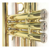 Tromba Roy Benson TR-101 Compreso Custodia