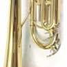Tromba Roy Benson TR-101 Compreso Custodia