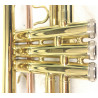 Tromba Roy Benson TR-101 Compreso Custodia