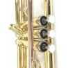 Tromba Roy Benson TR-101 Compreso Custodia