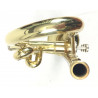 Tromba Roy Benson TR-101 Compreso Custodia