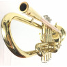 Tromba Roy Benson TR-101 Compreso Custodia