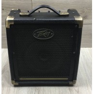Peavey Ecoustic  e20