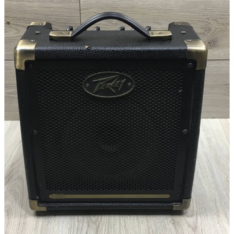 Peavey Ecoustic  e20