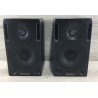 Genelec 1029A coppia