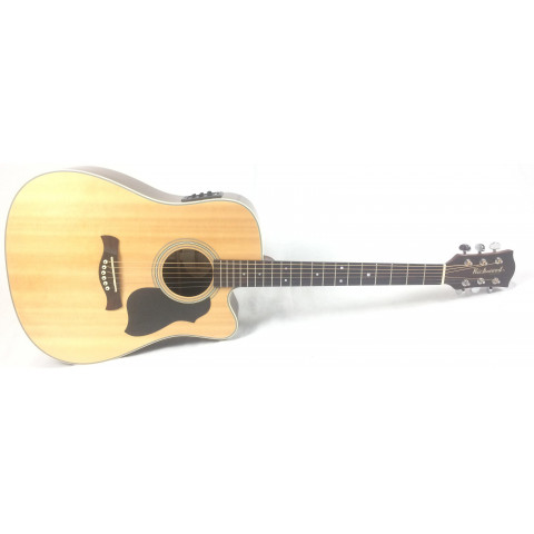 Richwood D-60-CE Master series