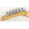 Parker P38 con custodia morbida