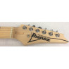 Ibanez Andy Timmons AT10P remium con custodia