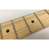 Ibanez Andy Timmons AT10P remium con custodia