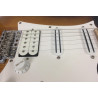 Ibanez Andy Timmons AT10P remium con custodia