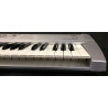 Korg Triton LE 61 + Flight Case