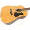 Ibanez V50NJP