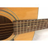 Ibanez V50NJP