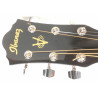 Ibanez V50NJP