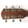 Fender CP-100 Parlor VSB