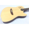 Godin Multiac Steel Duet