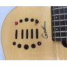 Godin Multiac Steel Duet