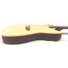 Godin Multiac Steel Duet