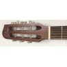 Godin Multiac Steel Duet