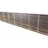 Godin Multiac Steel Duet