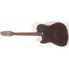 Godin Multiac Steel Duet
