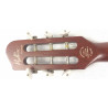 Godin Multiac Steel Duet