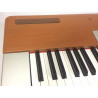 Yamaha P-120