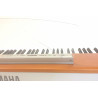 Yamaha P-120